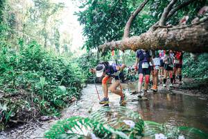 BIB: 
                            <button type="button" onclick="openModal(25461397)" class="btn btn-primary btn-sm float-right btn-popup" data-toggle="modal" data-target=".modal-high-quality">
                        <i class="fas fa-shopping-cart"></i> Add to Cart
                    </button>
                                            <button type="button" onclick="isThisMe(25461397, true)" class="btn btn-success btn-sm float-right btn-popup btn-isme hidden" data-toggle="tooltip" data-placement="bottom" title="นี่คือรูปของคุณใช่ไหม คลิกที่นี่เพื่อเอาเข้าอัลบั้ม">
                        <i class="fas fa-plus"></i> Add to album
                    </button>
                    <button type="button" onclick="isThisMe(25461397, false)" class="btn btn-warning btn-sm float-right btn-popup btn-isnotme hidden">
                        <i class="fas fa-ban"></i> Remove from album
                    </button>